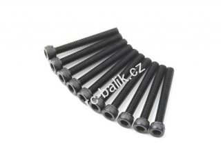 imbus šroub M3x24mm 10ks